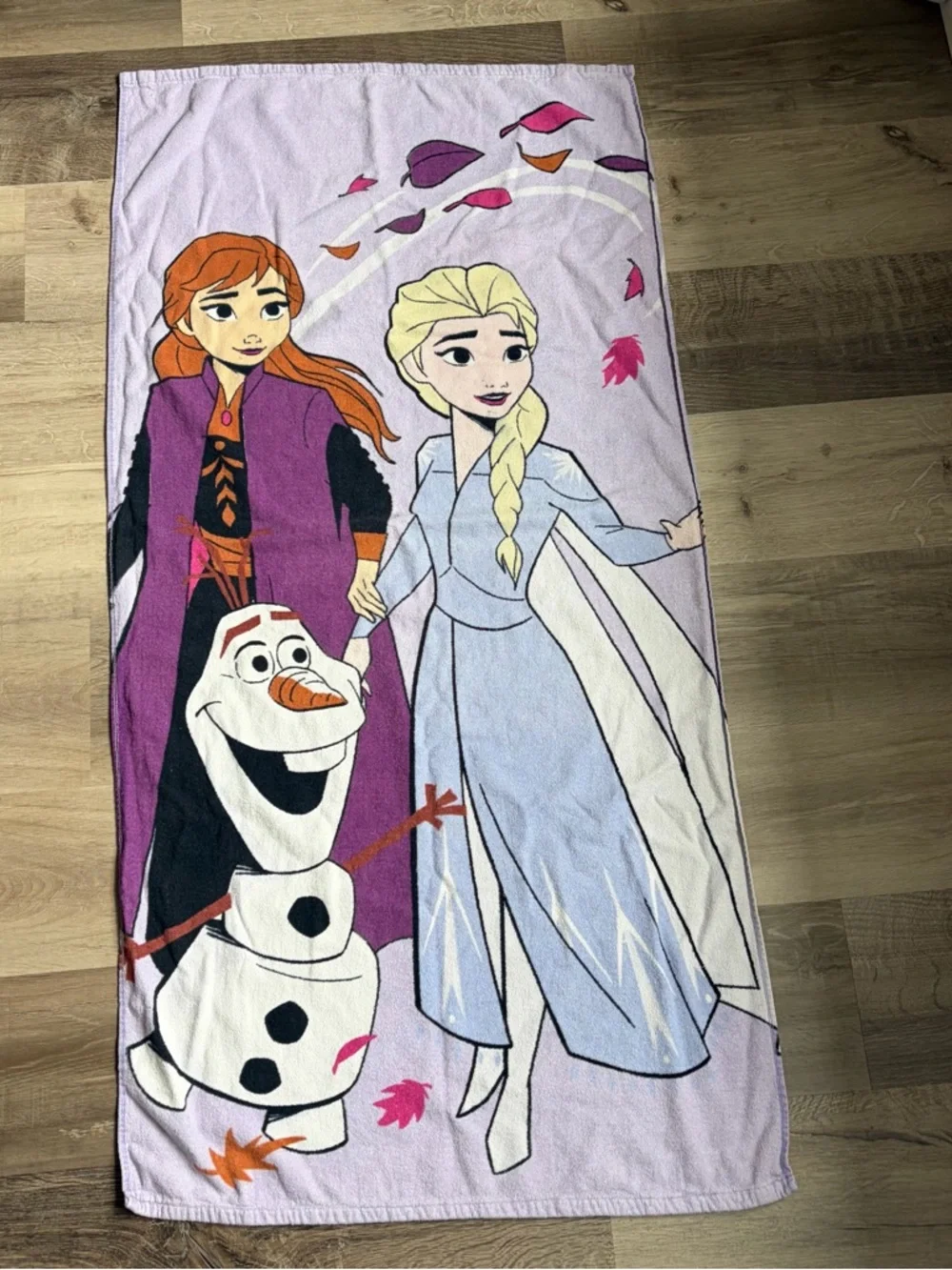 Disney Frozen II Beach Towels